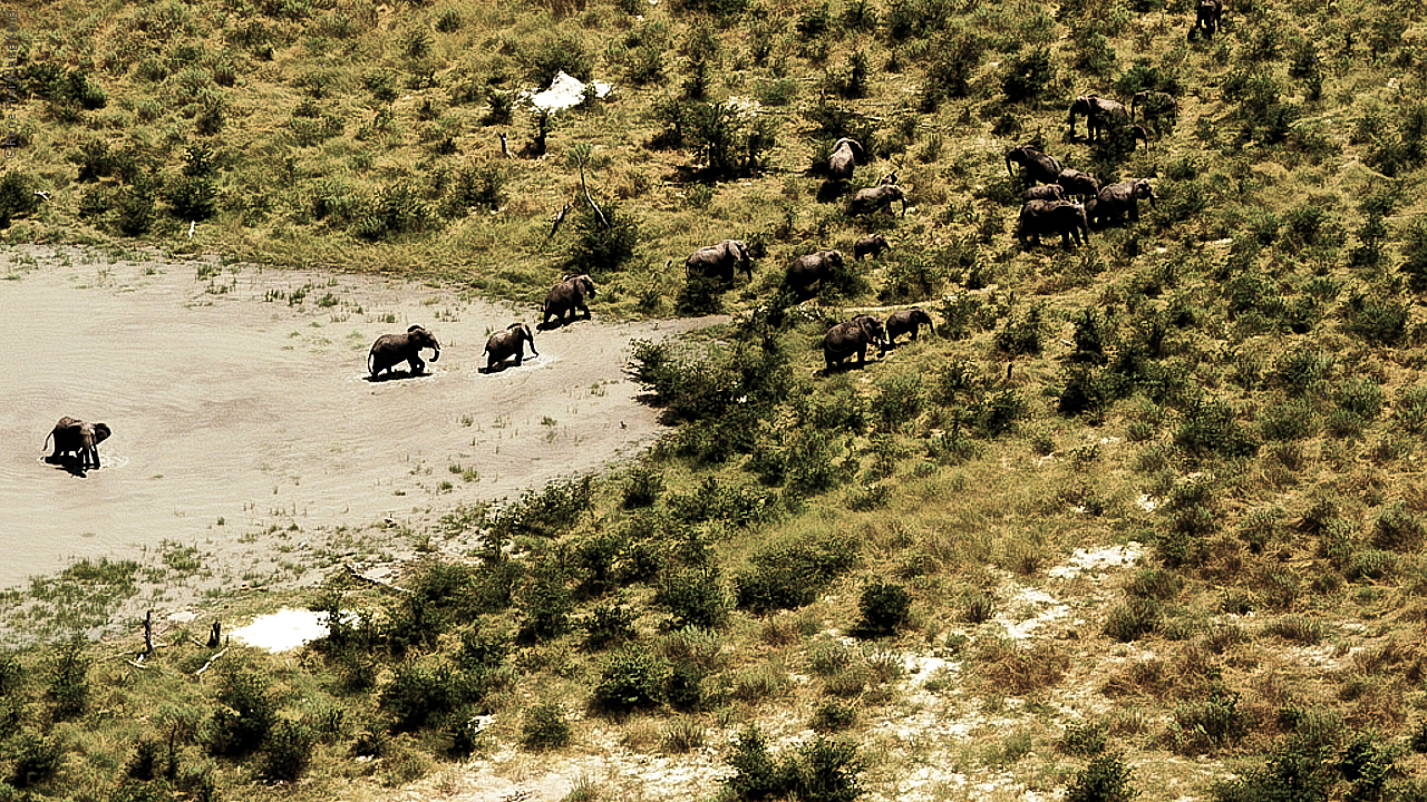 Botswana - Africa - 2008