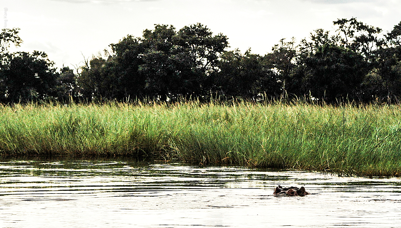 Botswana - Africa - 2008