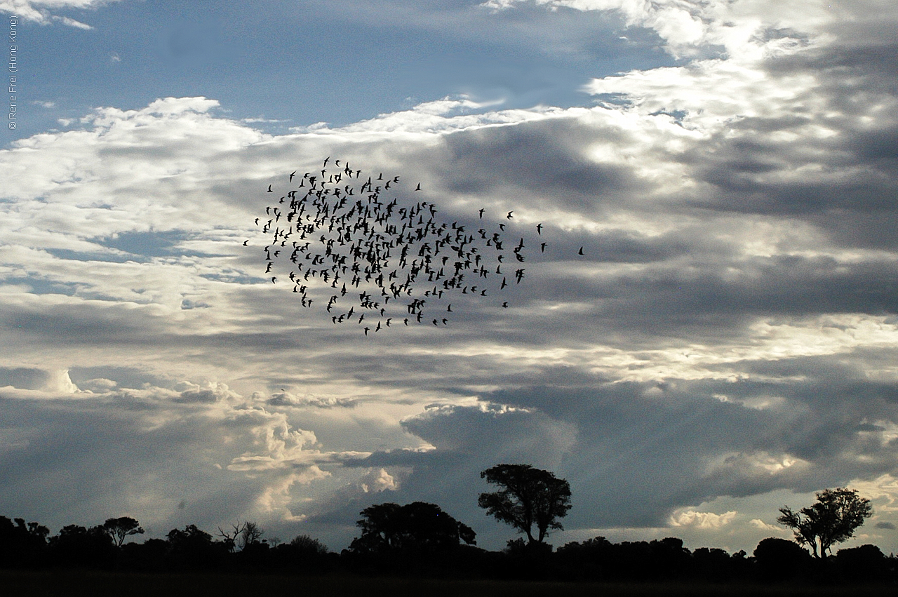 Botswana - Africa - 2008