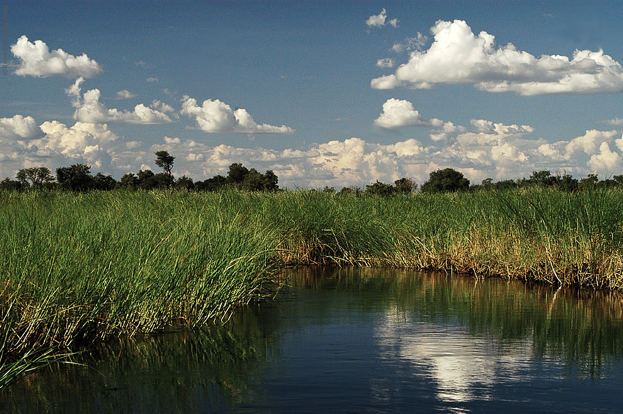 Botswana - Africa - 2008