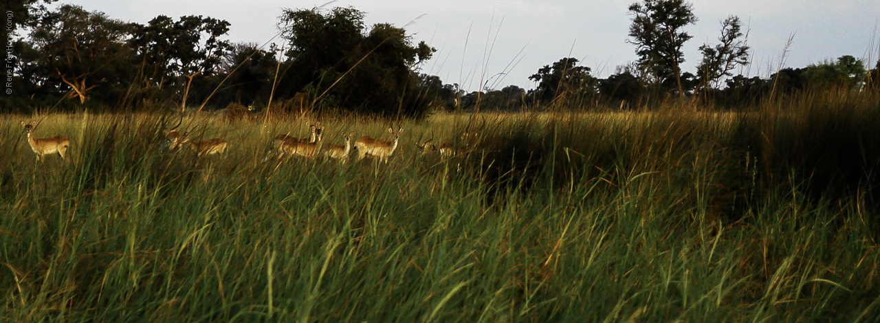 Botswana - Africa - 2008