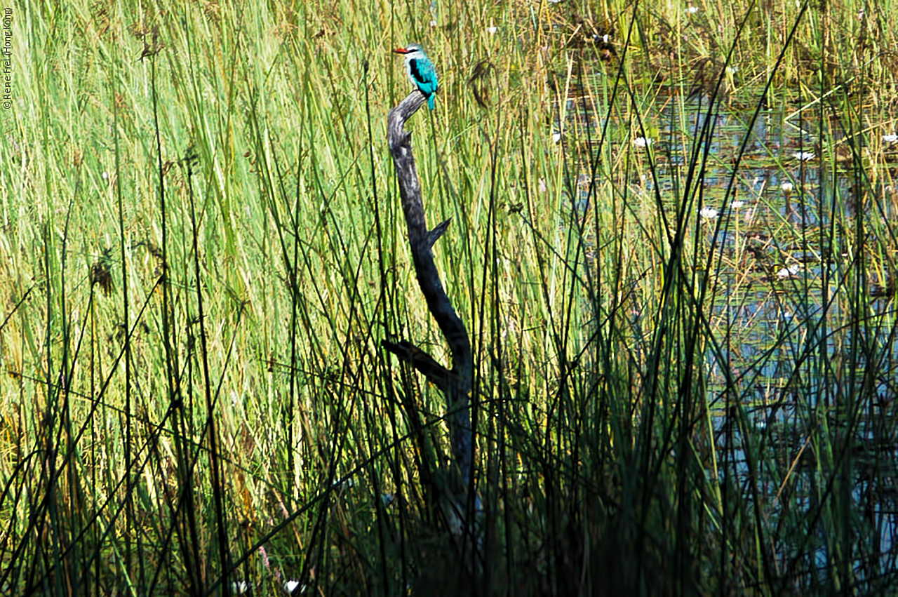 Botswana - Africa - 2008