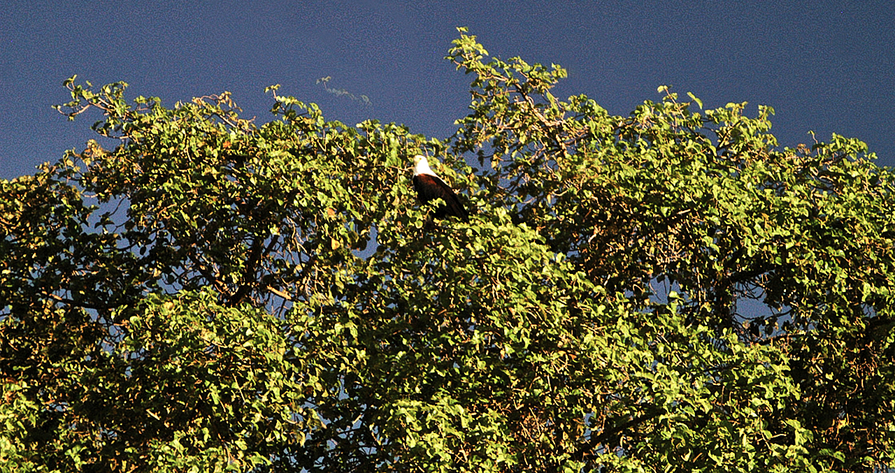 Botswana - Africa - 2008