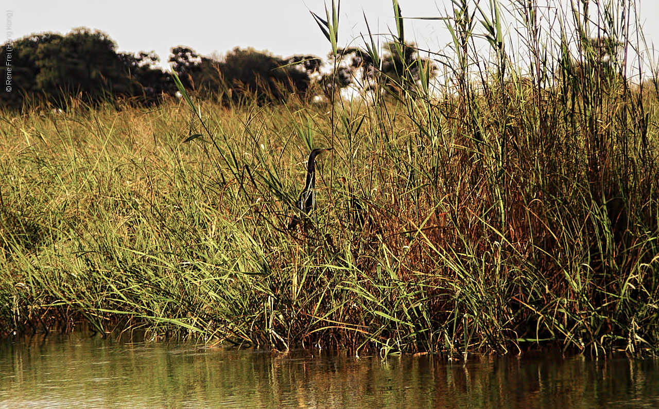 Botswana - Africa - 2008