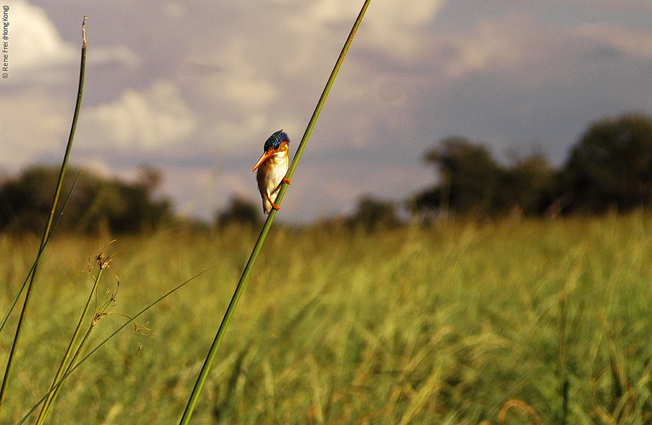 Botswana - Africa - 2008