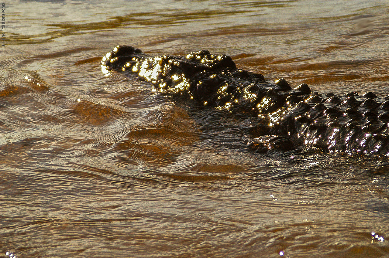 Botswana - Africa - 2008