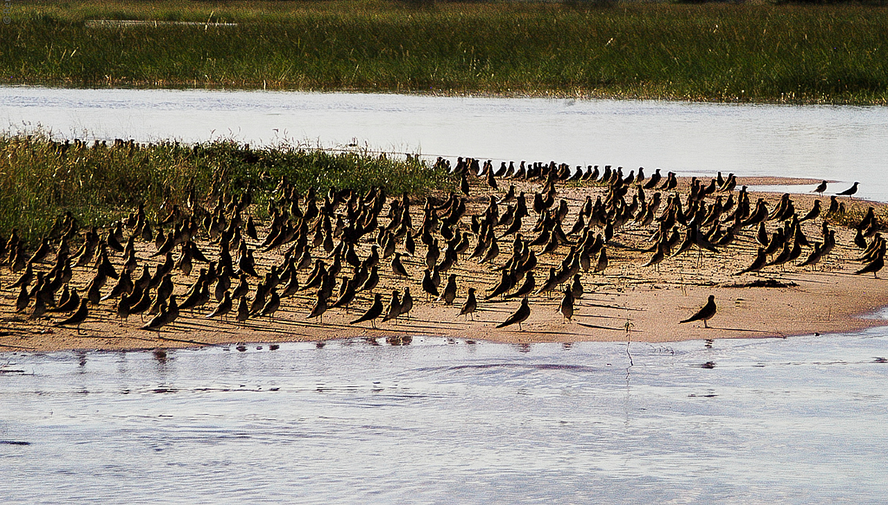 Botswana - Africa - 2008