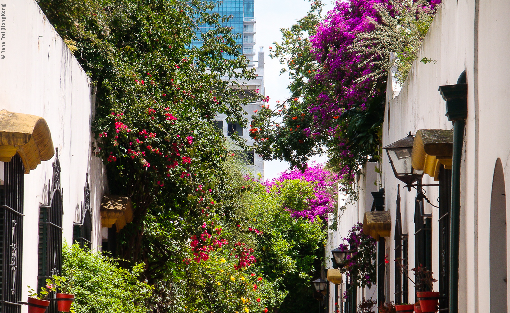 Buenos Aires - Argentina - 2010