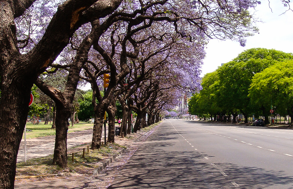 Buenos Aires - Argentina - 2010