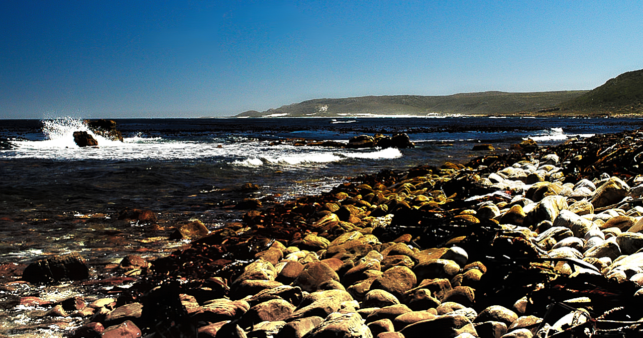 Cape of Good Hope - South Africa - 2008