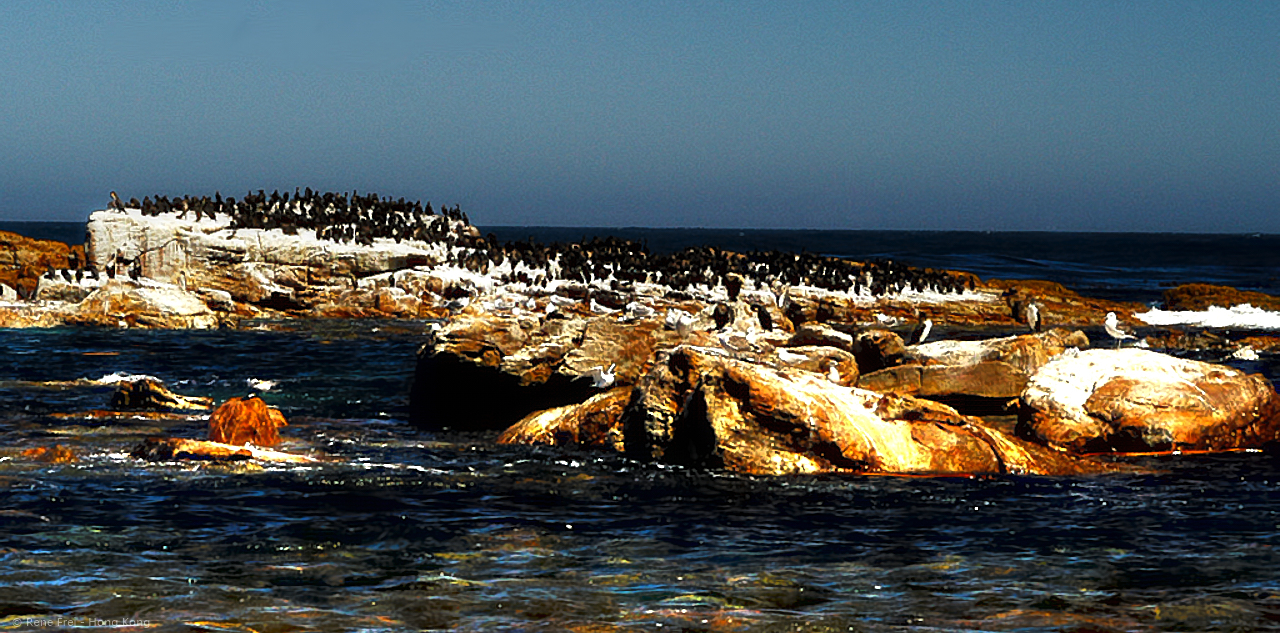 Cape of Good Hope - South Africa - 2008