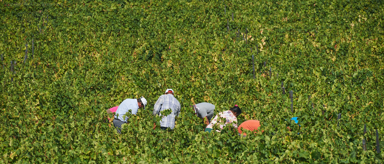 Douro Valley - Portugal - 2019