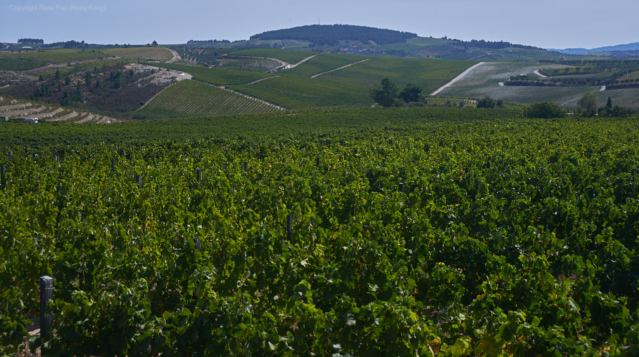 Douro Valley - Portugal - 2019