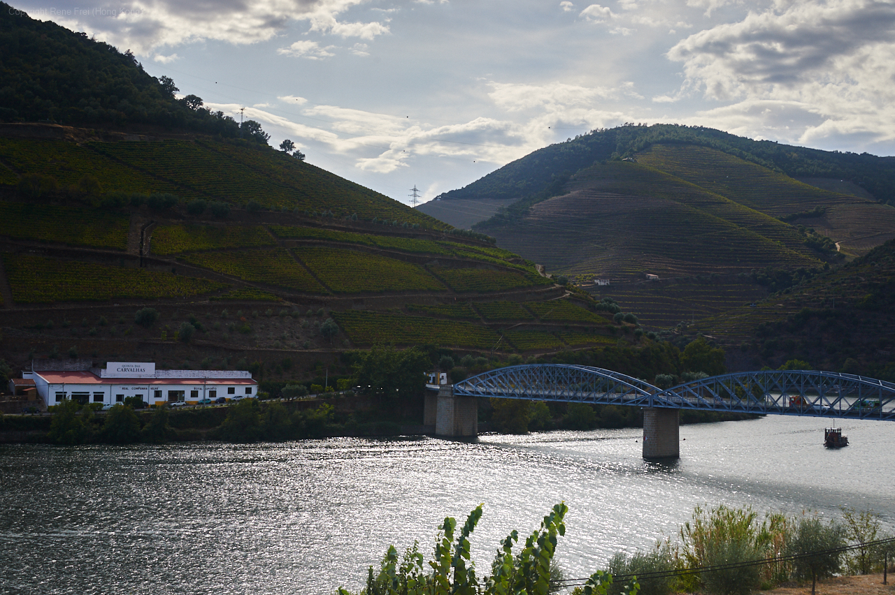 Douro Valley - Portugal - 2019