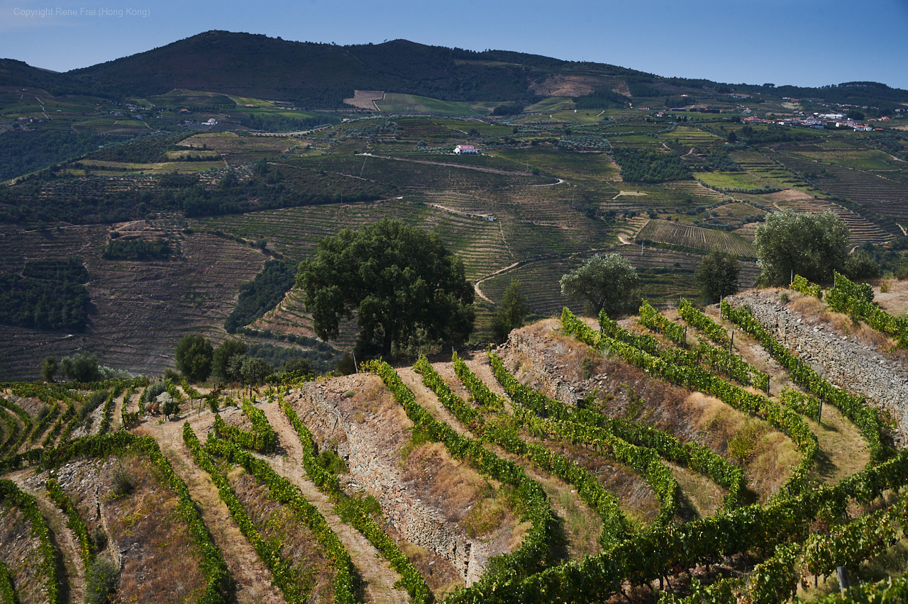 Douro Valley - Portugal - 2019