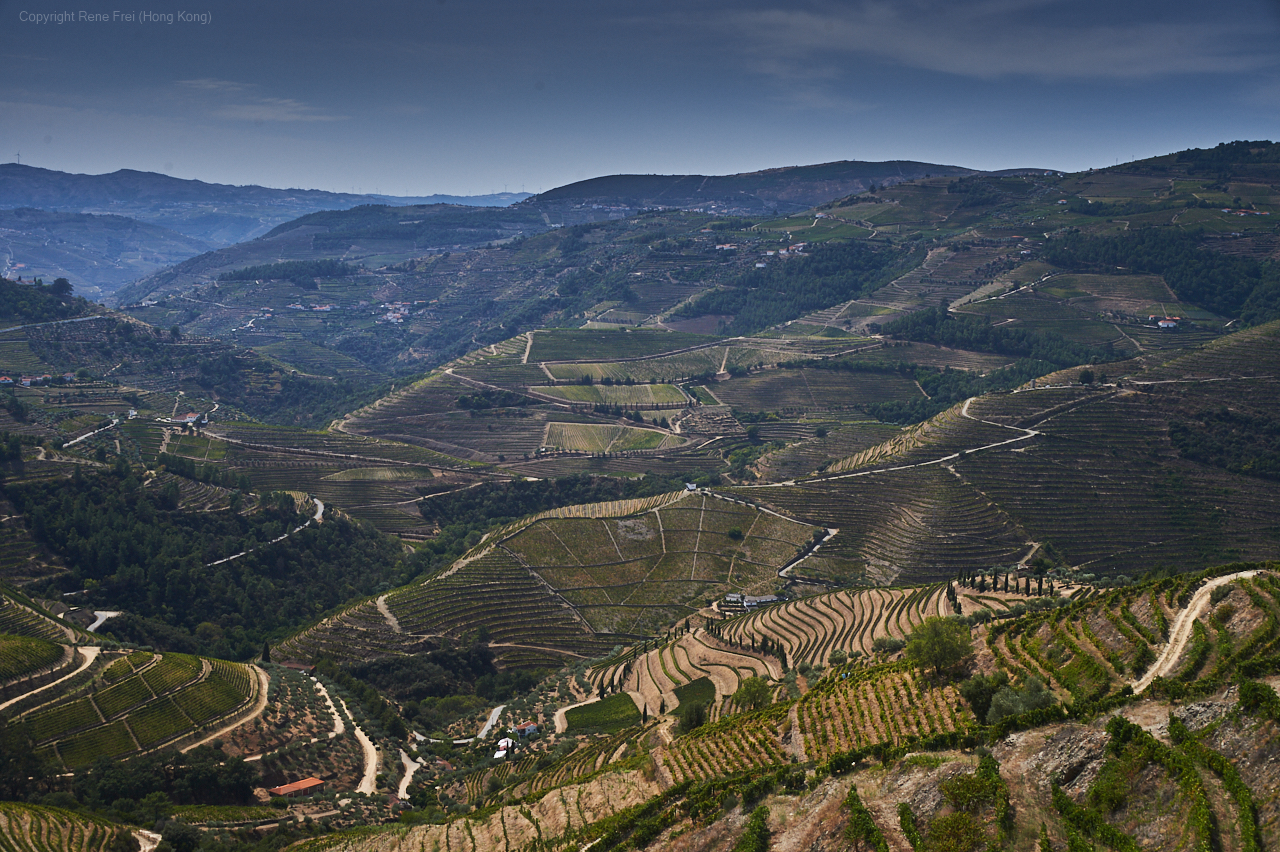 Douro Valley - Portugal - 2019