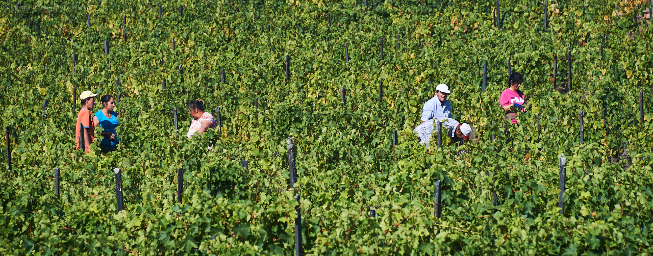 Douro Valley - Portugal - 2019