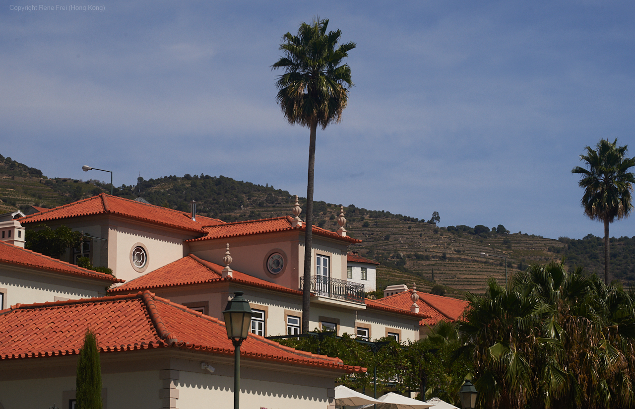 Douro Valley - Portugal - 2019