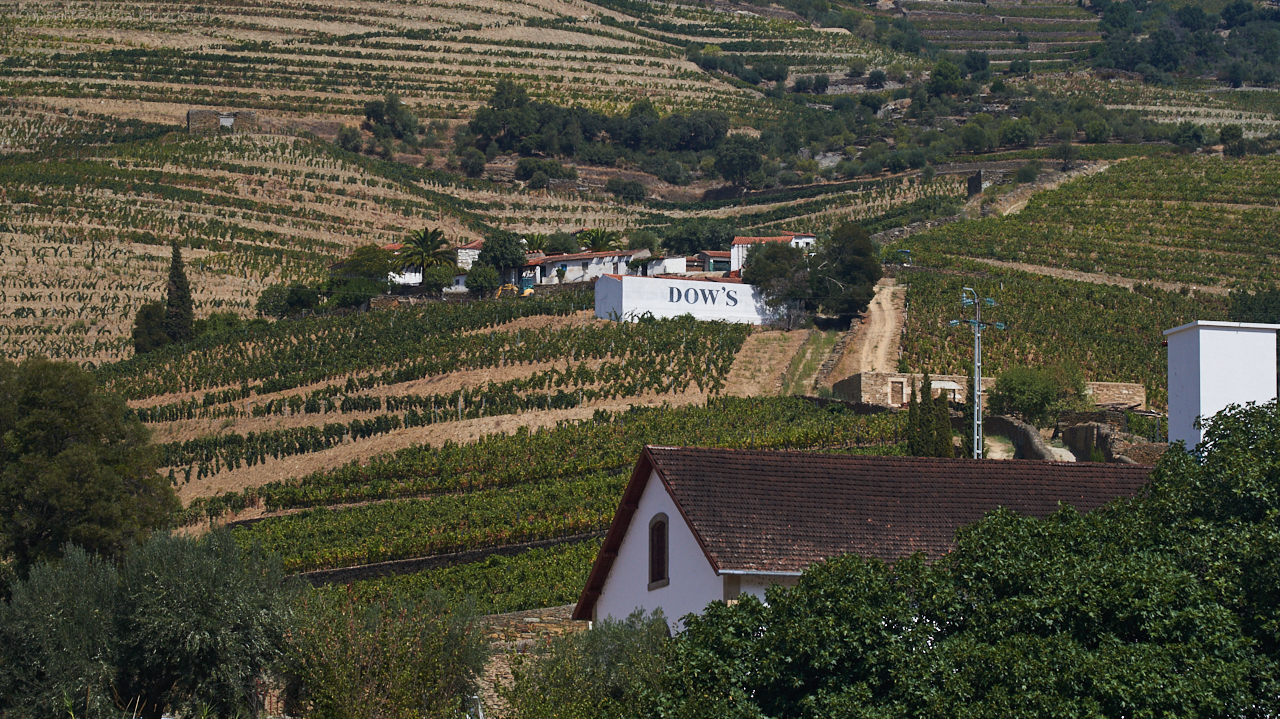 Douro Valley - Portugal - 2019