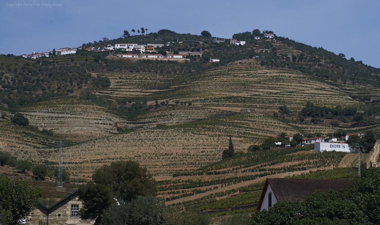 Douro Valley - Portugal - 2019