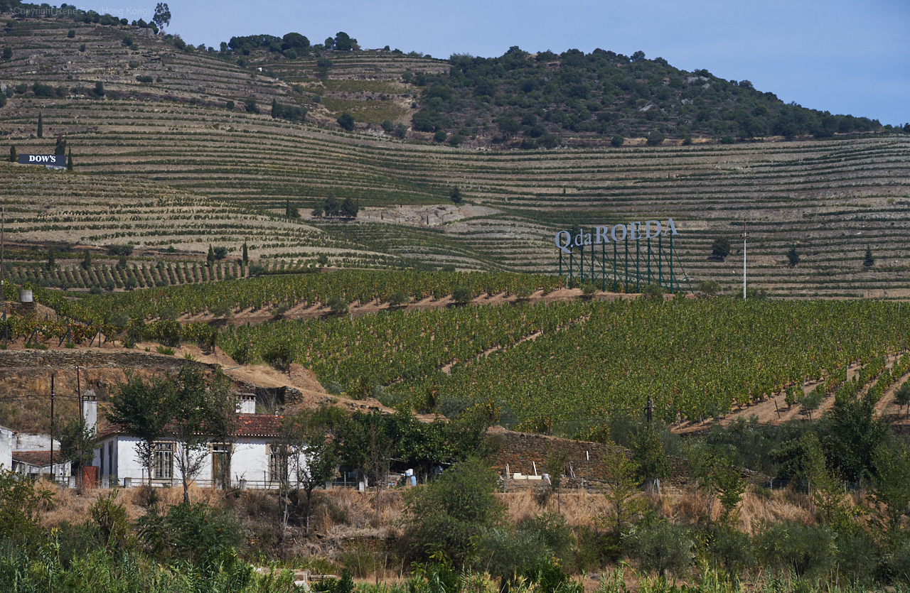 Douro Valley - Portugal - 2019