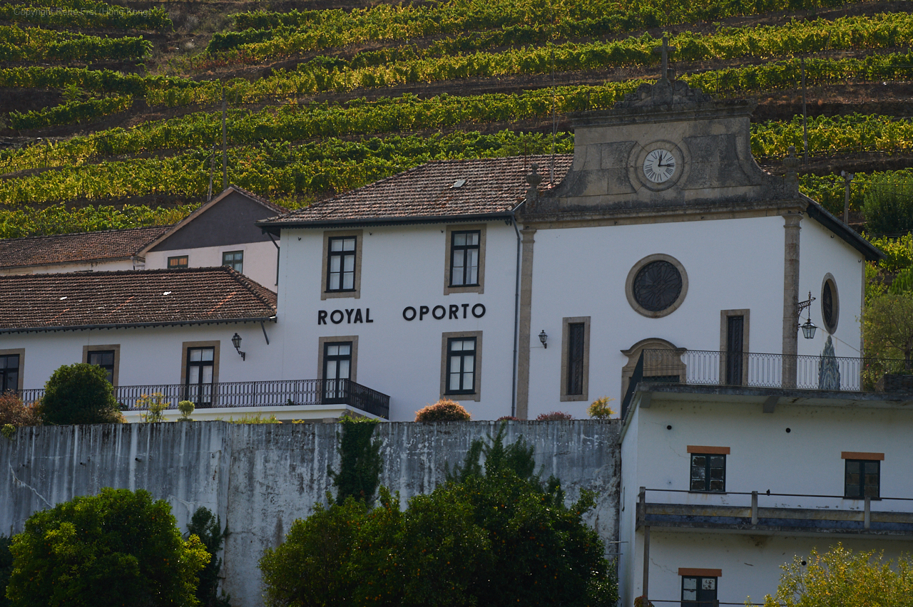 Douro Valley - Portugal - 2019