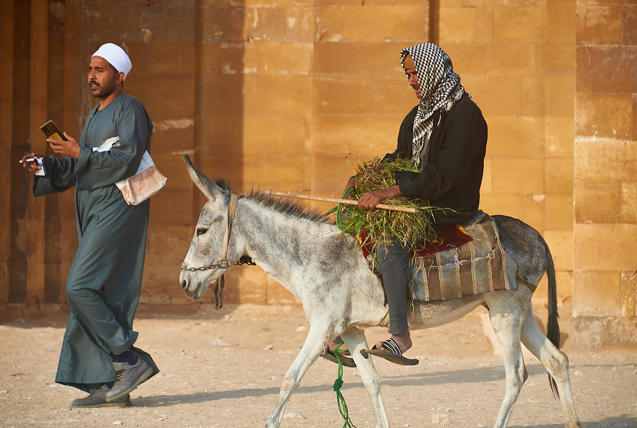 Egypt - North Africa - October 2024