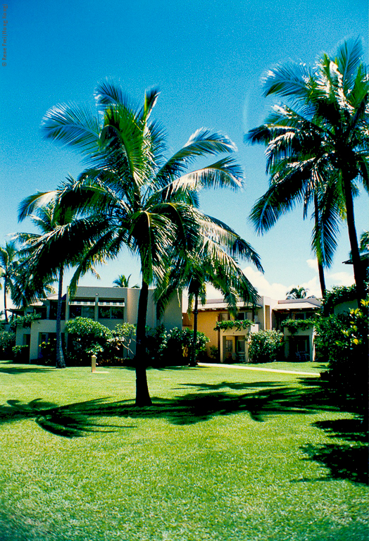 Fiji - early 1990's