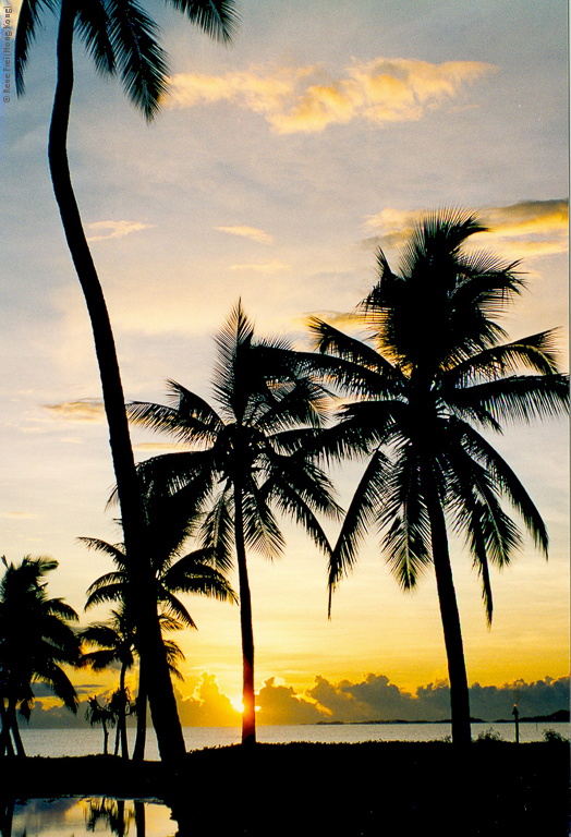 Fiji - early 1990's