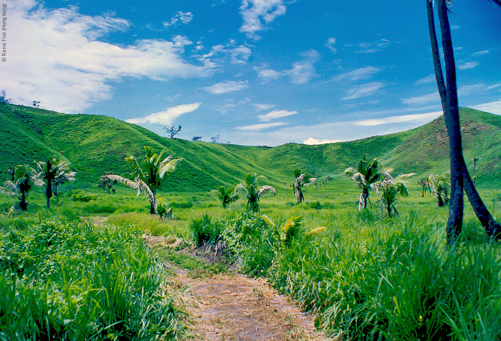 Fiji - early 1990's