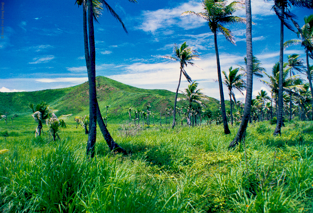 Fiji - early 1990's