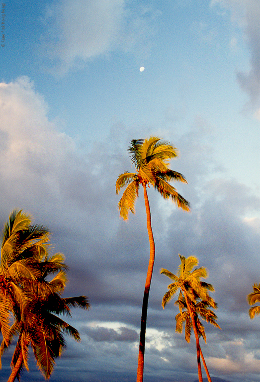 Fiji - early 1990's