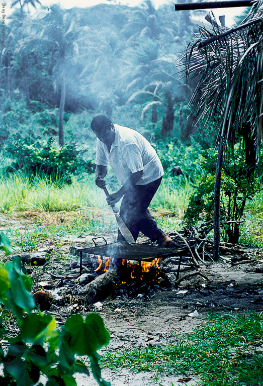 Fiji - early 1990's