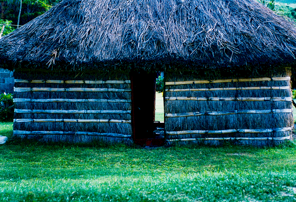 Fiji - early 1990's