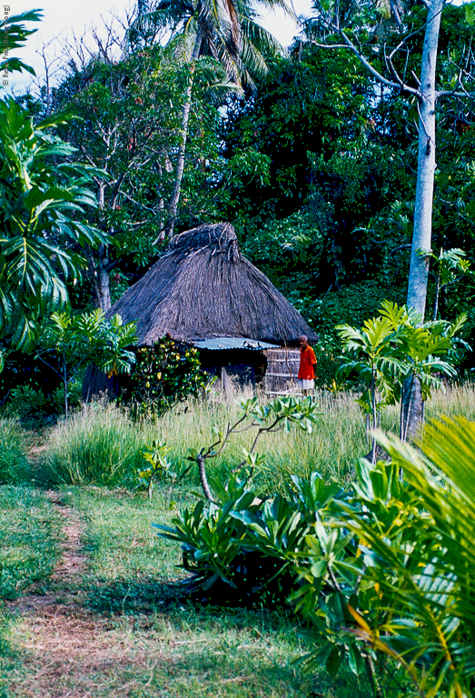 Fiji - early 1990's