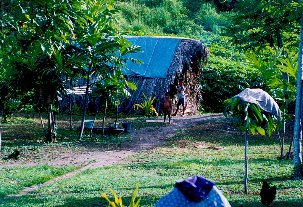 Fiji - early 1990's