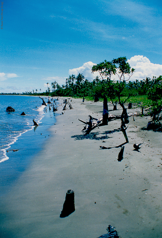 Fiji - early 1990's