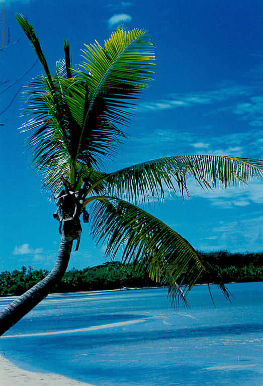 Fiji - early 1990's