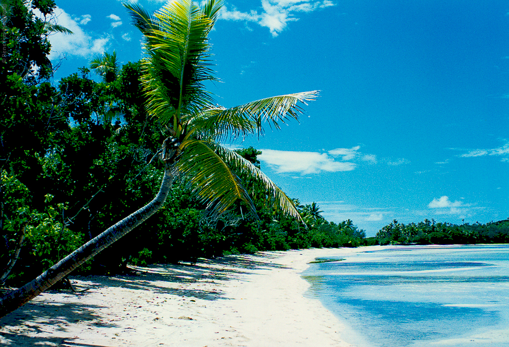 Fiji - early 1990's