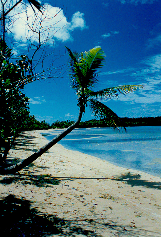 Fiji - early 1990's