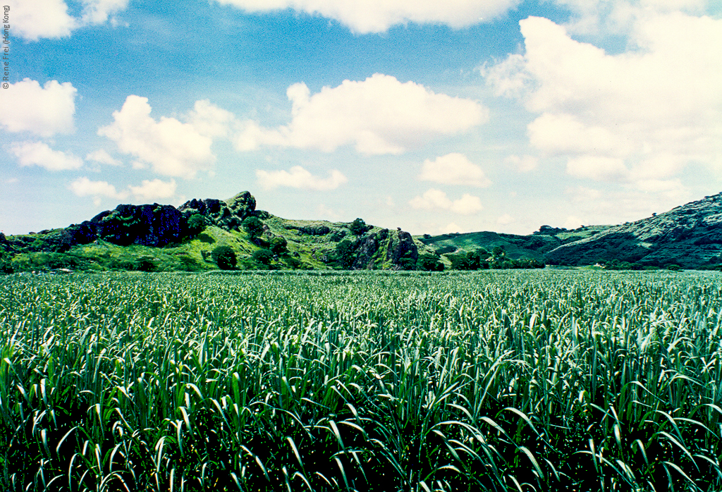 Fiji - early 1990's