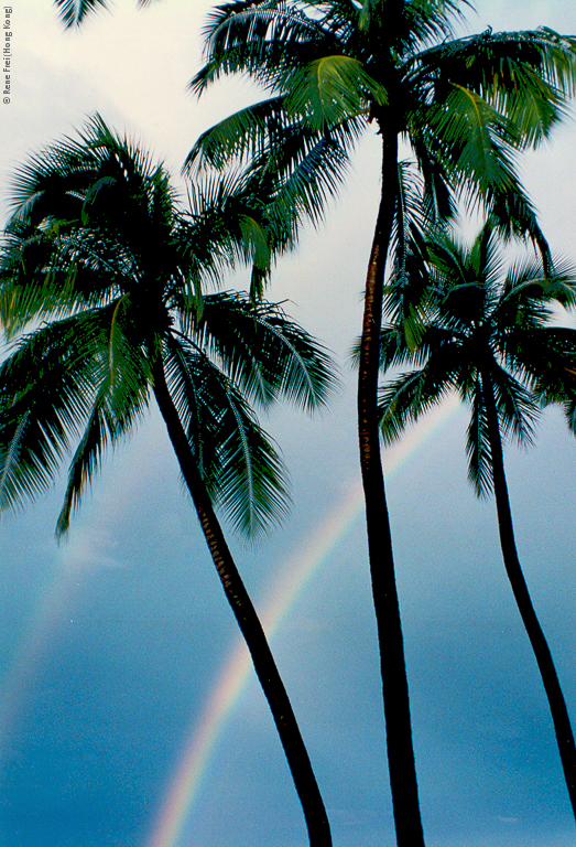 Fiji - early 1990's