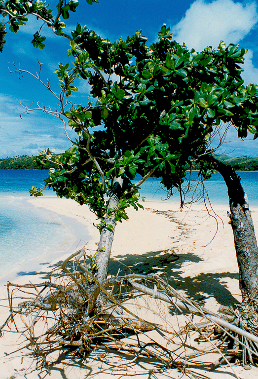 Fiji - early 1990's