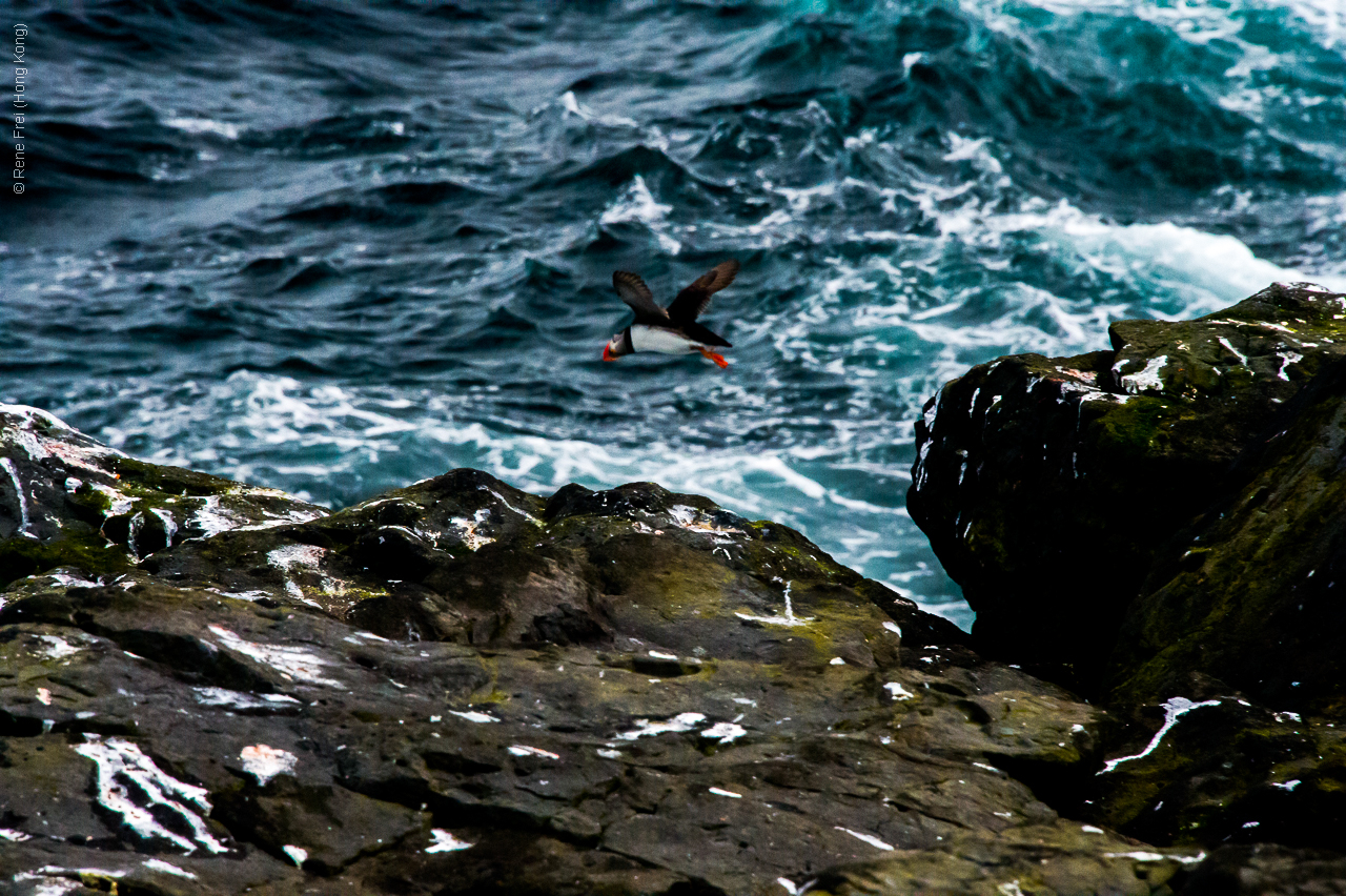 Grimsey - Iceland - 2015