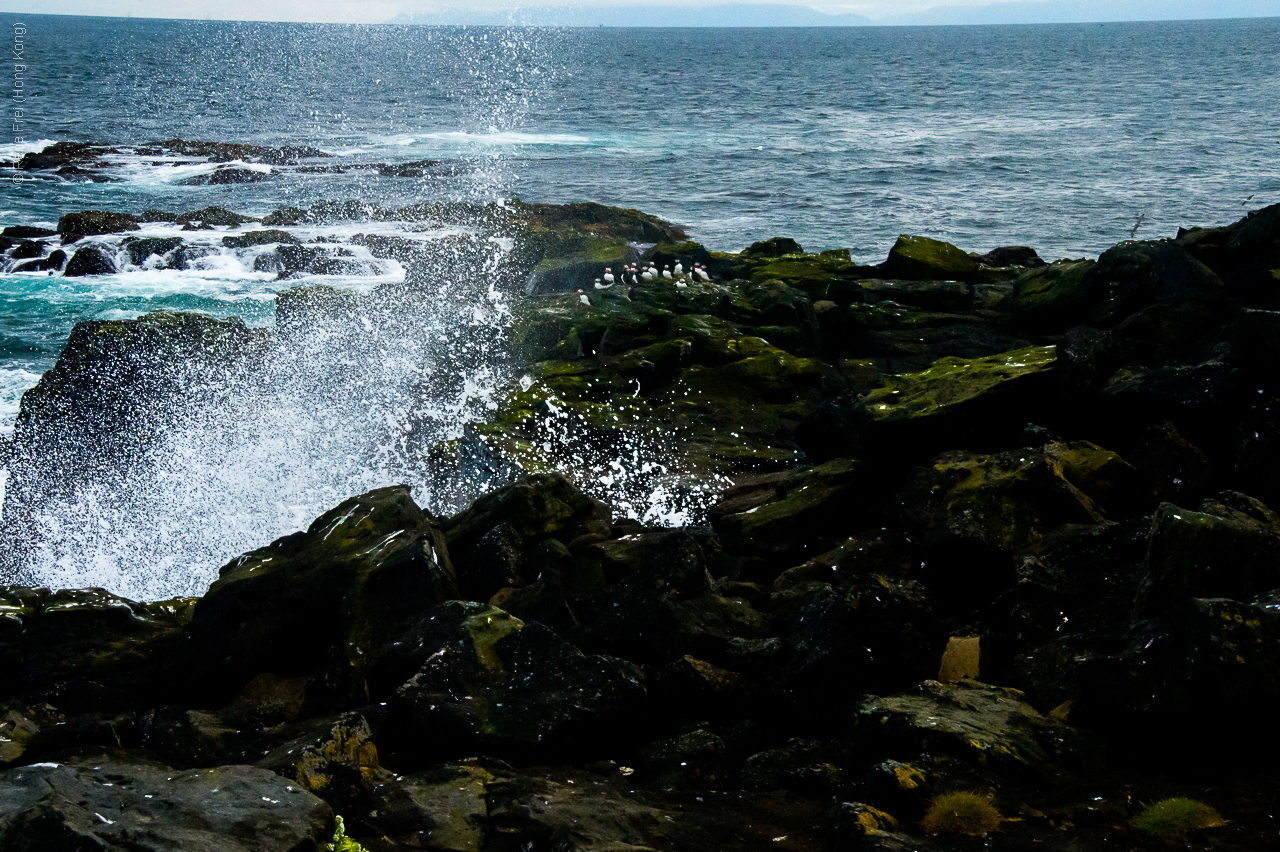 Grimsey - Iceland - 2015