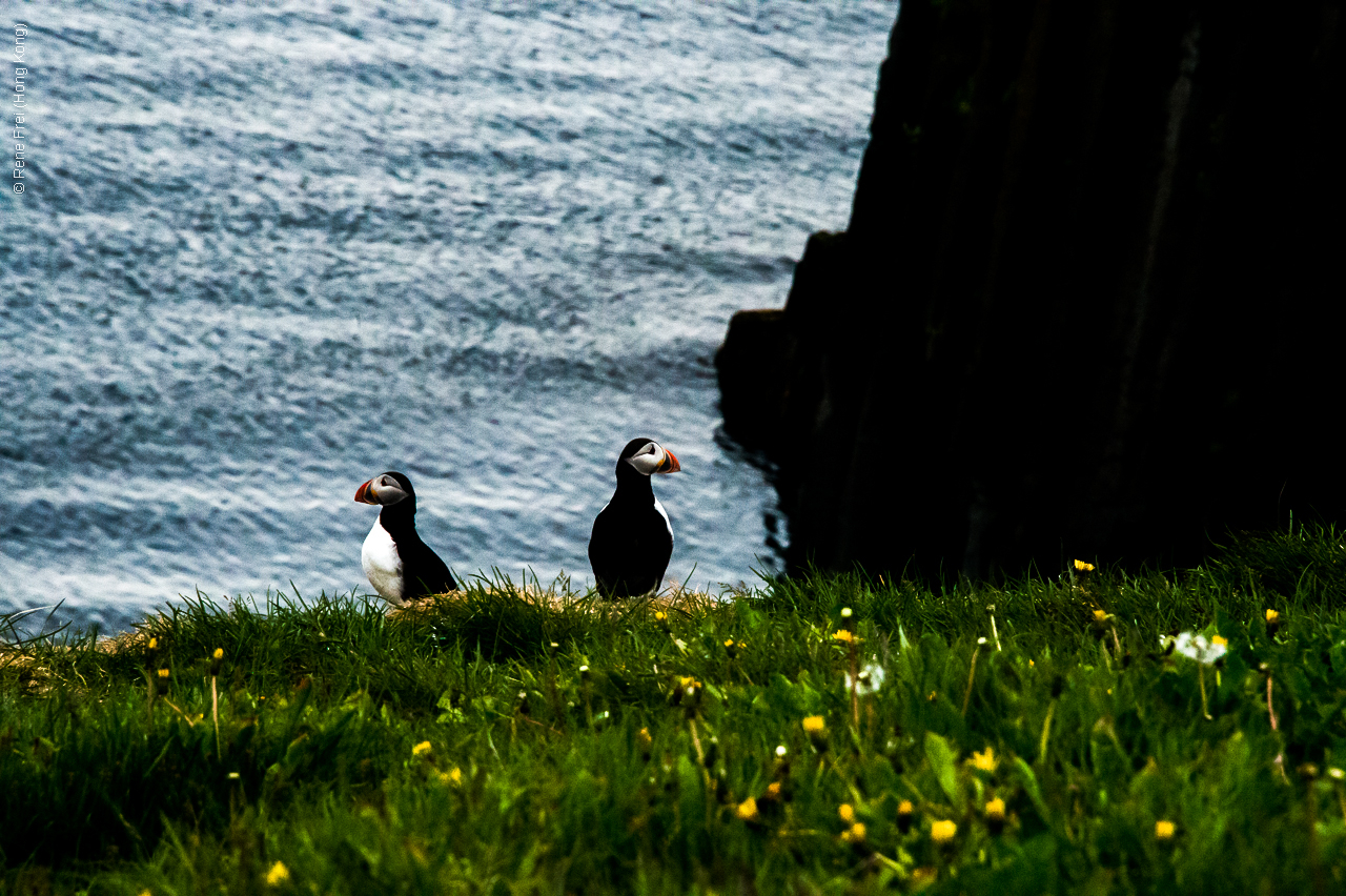 Grimsey - Iceland - 2015