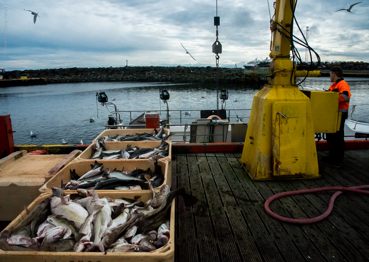 Grimsey - Iceland - 2015