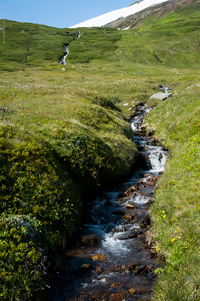 Hesteyri - Iceland - 2015