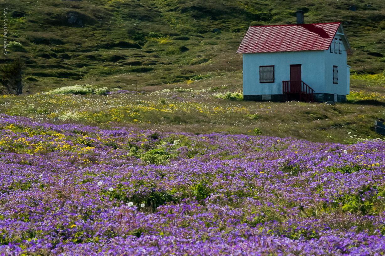 Hesteyri - Iceland - 2015