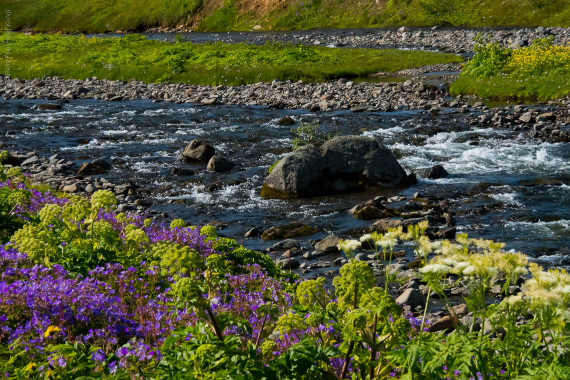 Hesteyri - Iceland - 2015